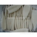 IQF Frozen Frozen Squid Tube Tamanho U3 U7